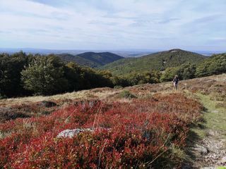 Occitanie-rando - Randonnée Itinérante - Gard - Lozère - Dourbies - Meyrueis - Aigoual - Espérou - GR66 - 4 jours