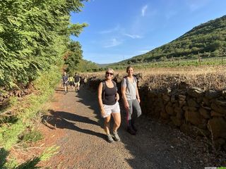 Occitanie-rando - Randonnée pédestre - Hérault - Fontès - Volcans - Celessou - Céressou - Vignoble - Saint-Hippolyte