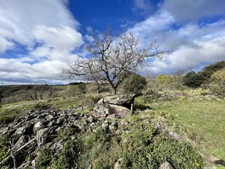 Entre ruffes et causse, Octon et la chapelle Notre-Dame-de-Roubignac