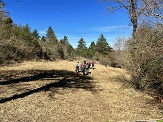 Direction la vallée de la Lergue pour une belle randonnée sur le plateau du Larzac