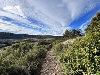 Randonnée dans les vignobles de Saint-Chinian