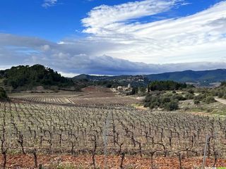 Randonnée dans les vignobles de Saint-Chinian