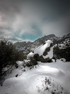 Trek dans la neige au sommet du massif du Caroux