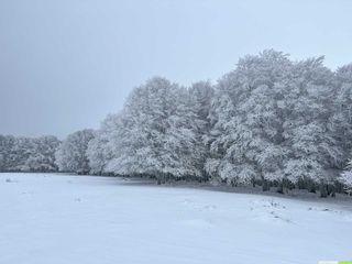 Week-end raquettes sous la neige à Laguiole