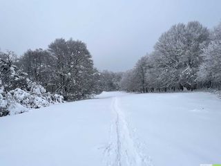 Week-end raquettes sous la neige à Laguiole