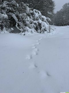 Week-end raquettes sous la neige à Laguiole