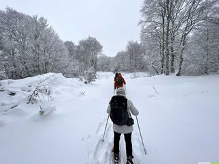 Week-end raquettes sous la neige à Laguiole