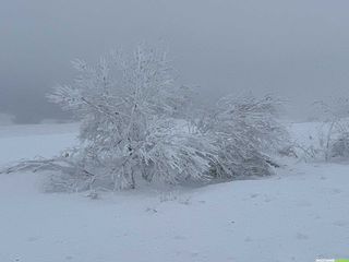 Week-end raquettes sous la neige à Laguiole