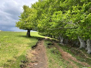 Randonnée itinérante - Tour de l'Aubrac - 4 jours - Occitanie-rando