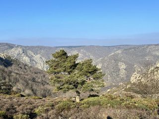 Le sentier des 3 cols dans le Caroux : Airole, Salis et Bardou