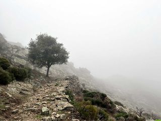 Randonnée sportive avec la team sur le tour de la montagne du Haut-Languedoc - boucle du Caroux