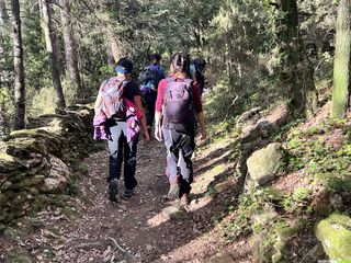 La forêt des Écrivains Combattants sur le massif du Caroux