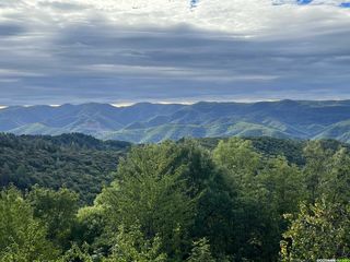 La forêt des Écrivains Combattants sur le massif du Caroux