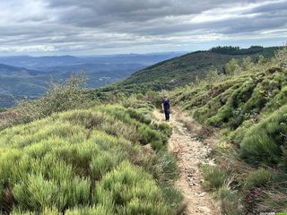 La forêt des Écrivains Combattants sur le massif du Caroux