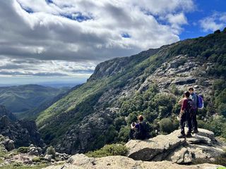 La forêt des Écrivains Combattants sur le massif du Caroux