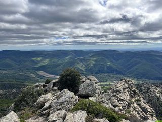 La forêt des Écrivains Combattants sur le massif du Caroux