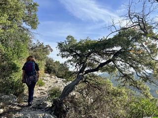 Le mont Saint-Baudille, sur le massif de la Séranne, entre le plateau du Larzac et la vallée de l'Hérault