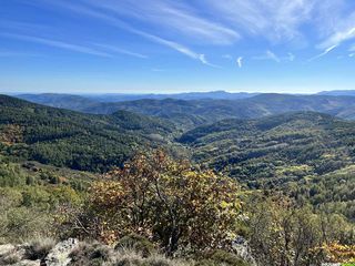 Stage de bushcraft dans le parc national des Cévennes avec Raphaël de La vue des Cimes