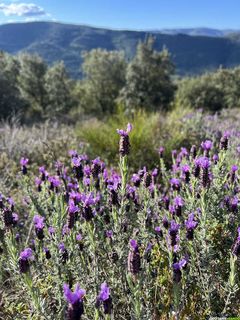 Défi Nature : Randonnée à Prémian - Le Chemin des Légendes vous Attend !