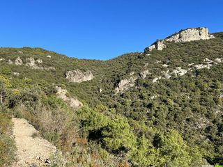 Le grand tour de Saint-Guilhem-le-Désert en mode sportif ! Le grand tour de Saint-Guilhem-le-Désert en mode sportif !