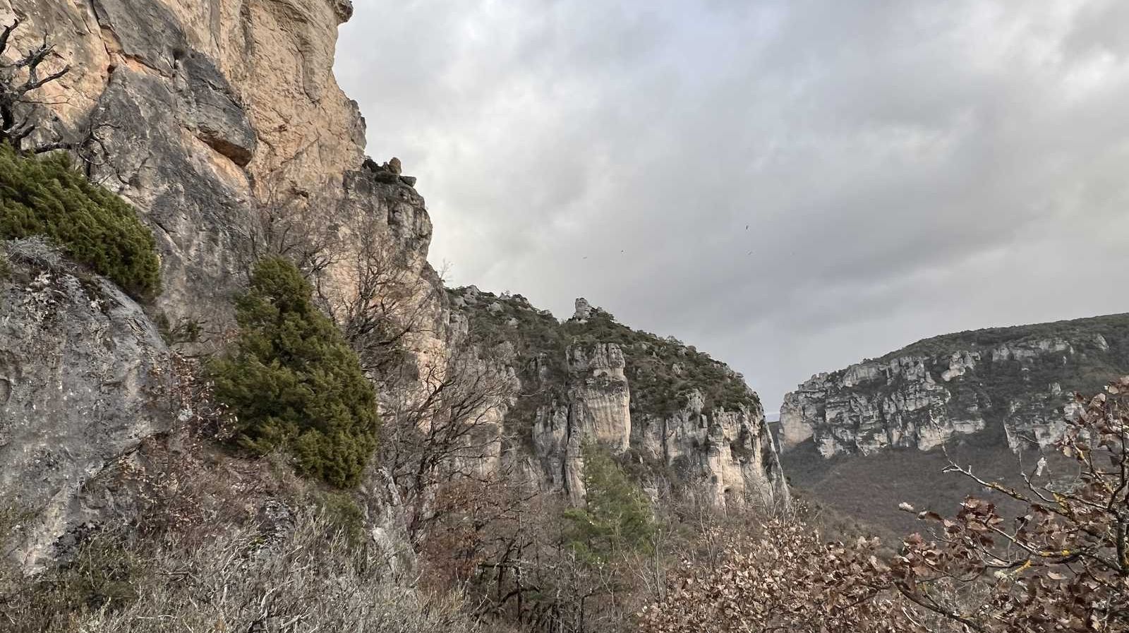 Une randonnée entre les gorges de la Dourbie et le causse Noir
