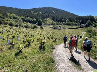 3 jours de randonnée itinérante sur le GR de Pays Entre 2 lacs - Avène & Salagou