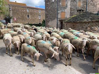 3 jours de randonnée itinérante sur le GR de Pays Entre 2 lacs - Avène & Salagou