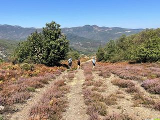 Belle rando sur le sentier des Banissous dans le Haut-Languedoc pour démarrer la saison