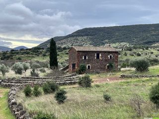occitanie rando rando herault plateau cayroux le puech 36 1