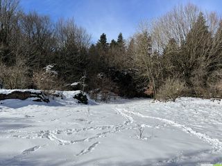 occitanie rando randonnee roqueredonde foret escandorgues neige 86 1