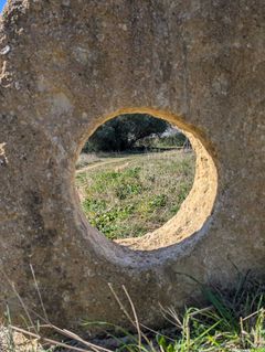 Oenorando® à Montagnac : une randonnée entre nature, art et orientation