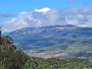 À la conquête du Pic de Tantajo : une randonnée panoramique au cœur du Haut-Languedoc