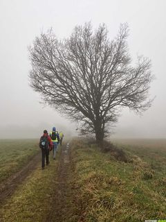 La Haute Vallée de la Lergue - Randonnée entre rires et brouillard !