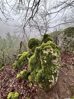 La Haute Vallée de la Lergue - Randonnée entre rires et brouillard !