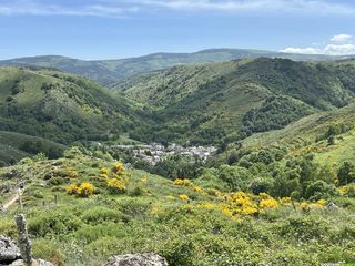 Sur les pas de Stevenson (GR®70) – Une itinérance inoubliable de 5 jours entre Mont Lozère et Cévennes