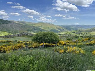 Sur les pas de Stevenson (GR®70) – Une itinérance inoubliable de 5 jours entre Mont Lozère et Cévennes