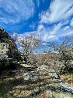    Randonnée sur le versant sud du Caroux : un itinéraire technique et panoramique