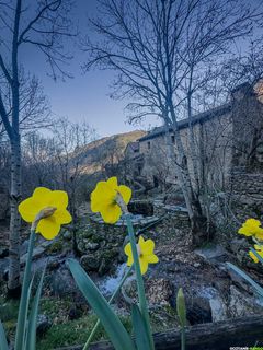 Sud de l’Espinouse : Le Hameau du Bardou