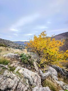 Boucle du Caroux : 31 km d’efforts et de splendeur au cœur du Haut-Languedoc