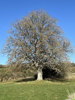 Le sentier des Échelles et le cirque de Tournemire