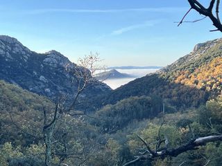 Sur les traces du Prieuré de Saint-Martin-de-Cézas : entre nature et patrimoine