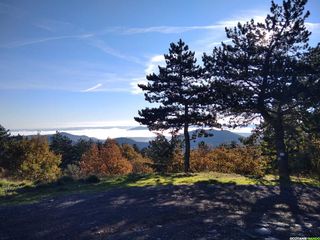 Sur les traces du Prieuré de Saint-Martin-de-Cézas : entre nature et patrimoine
