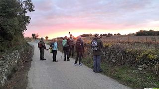 Randonnée sur le GR® de Pays Tours en Minervois Saint-Chinian Faugères – Boucle n°5 : Tour en Faugères