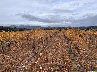 Randonnée sur le GR® de Pays Tours en Minervois Saint-Chinian Faugères – Boucle n°5 : Tour en Faugères