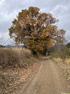 Randonnée sur le GR® de Pays Tours en Minervois Saint-Chinian Faugères – Boucle n°5 : Tour en Faugères