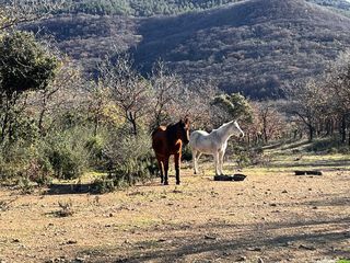 Saint-Jean-de-la-Blaquière – Bois de Latude : une randonnée entre terres rouges et forêts