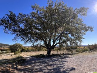 Randonnée au Roc des Deux Vierges depuis Saint-Saturnin-de-Lucian