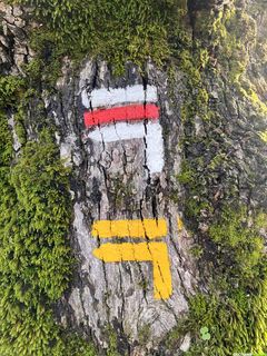 Randonnée sportive au Mont Marcou depuis Saint-Gervais-sur-Mare Randonnée sportive au Mont Marcou depuis Saint-Gervais-sur-Mare