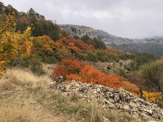 Une randonnée spectaculaire au pied du causse du Larzac Une randonnée spectaculaire au pied du causse du Larzac