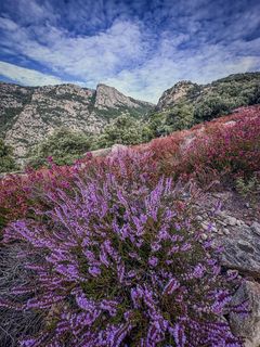 Randonnée au Col de la Buffe depuis Colombières-sur-Orb Randonnée au Col de la Buffe depuis Colombières-sur-Orb